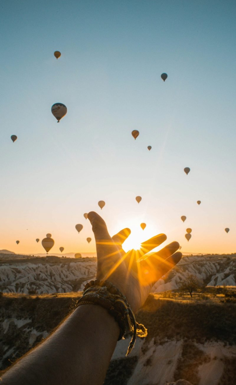 pexels-ozgomz-2893685